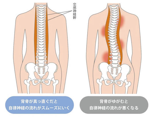 自律神経失調症 - 豊中市・北大阪急行線 緑地公園駅から徒歩2分