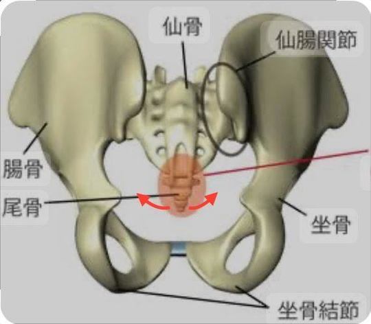 腰痛 - 豊中市・北大阪急行線 緑地公園駅から徒歩2分